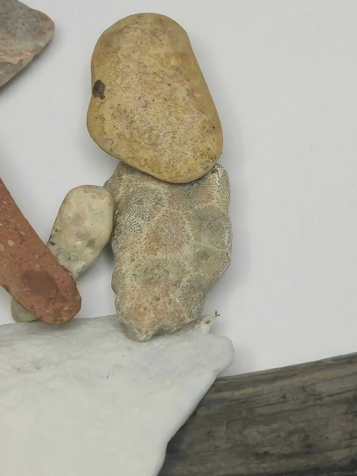 A Love Worth More Than Corals
