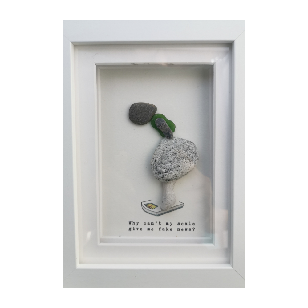 Pebble Art Scale Bathroom fake news