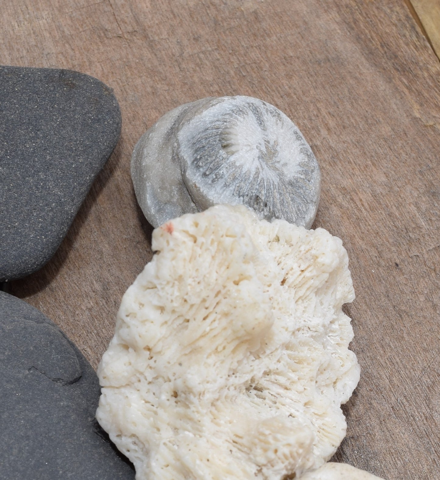 And suddenly, all the love songs were about you