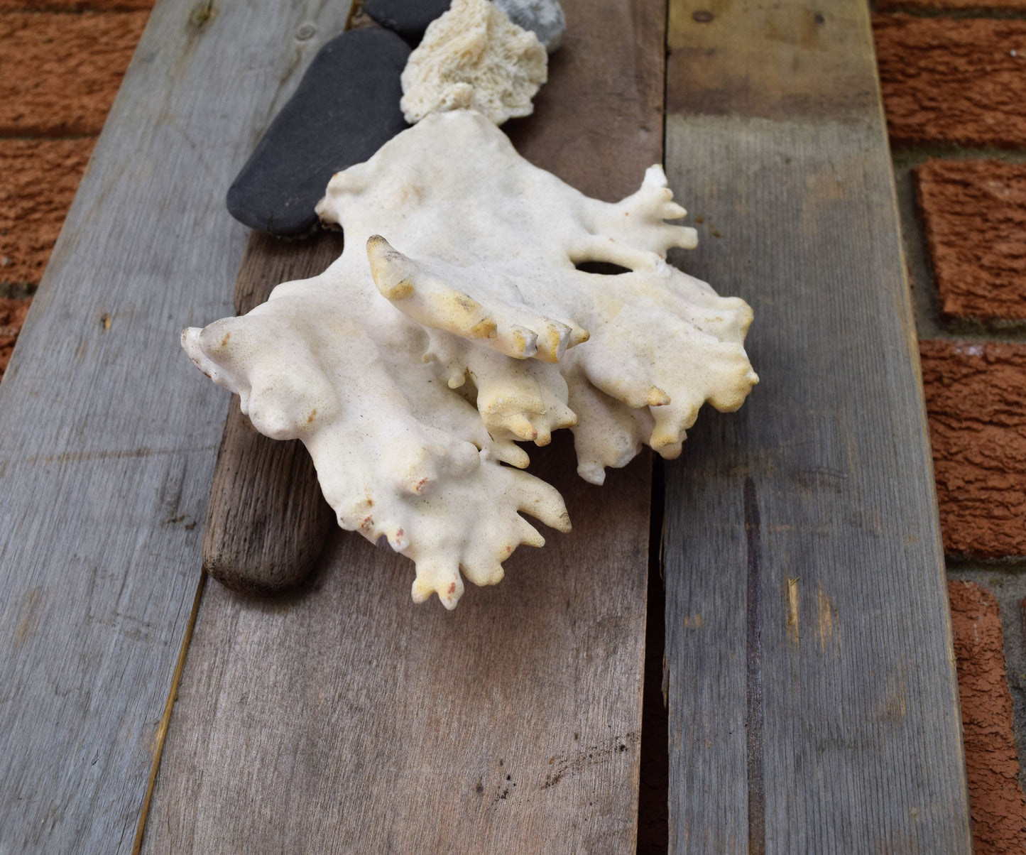 And suddenly, all the love songs were about you