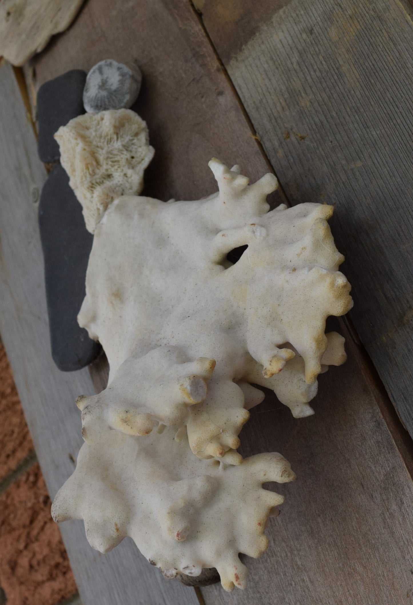 And suddenly, all the love songs were about you