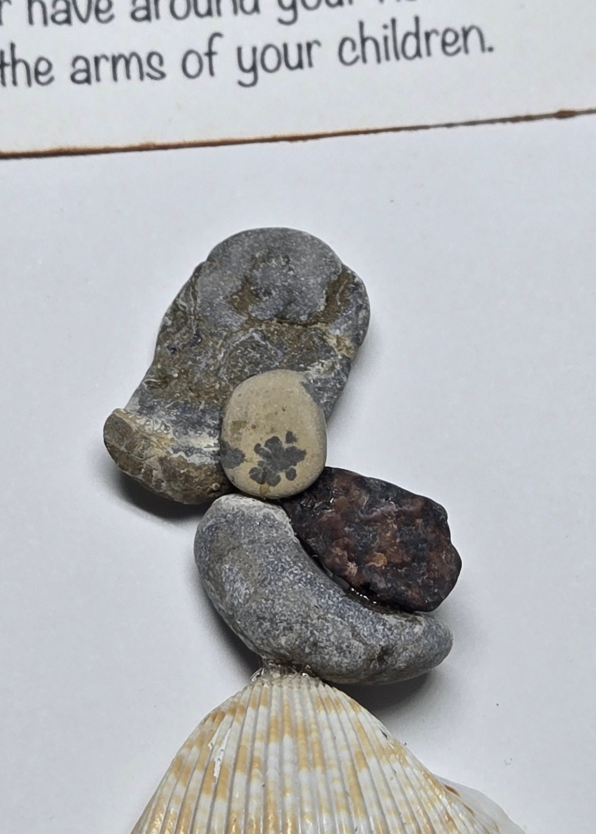 A small decorative stone arrangement on a white surface, featuring gray and brown pebbles with a small beige stone in the center and a cream-colored seashell attached at the bottom.